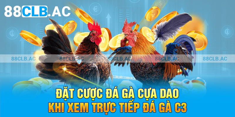 Đặt cược đá gà cựa dao khi xem trực tiếp đá gà C3