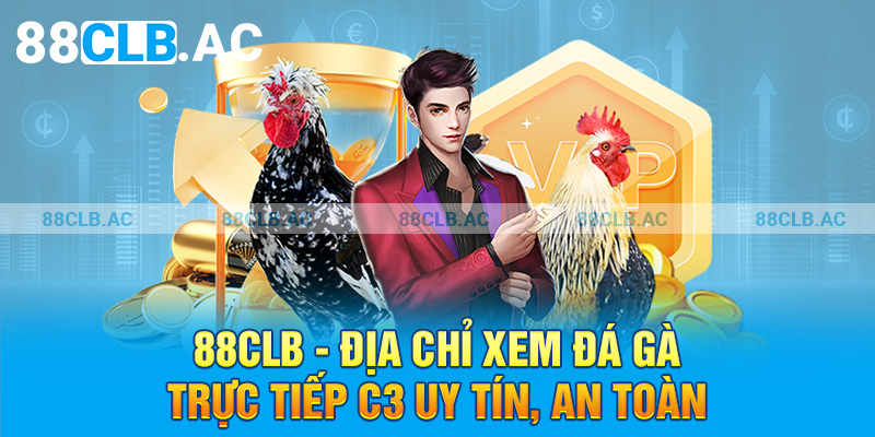 88clb - Địa chỉ xem đá gà trực tiếp C3 uy tín, an toàn