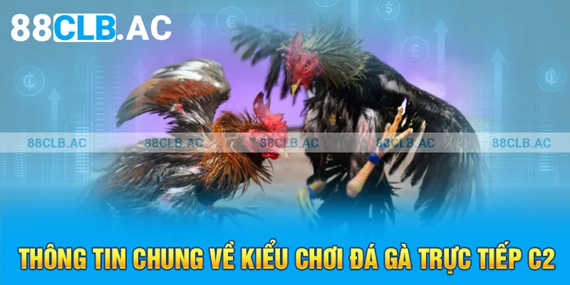 Thông tin chung về kiểu chơi đá gà trực tiếp C2