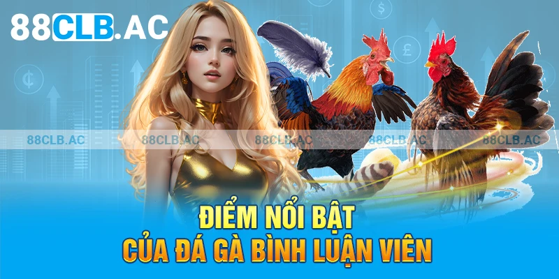 Điểm nổi bật của đá gà bình luận viên