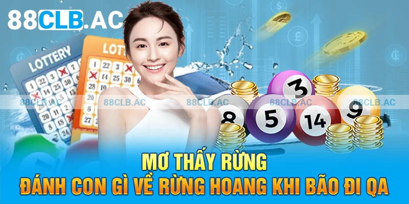 Mơ thấy rừng đánh con gì về rừng hoang khi bão đi qua